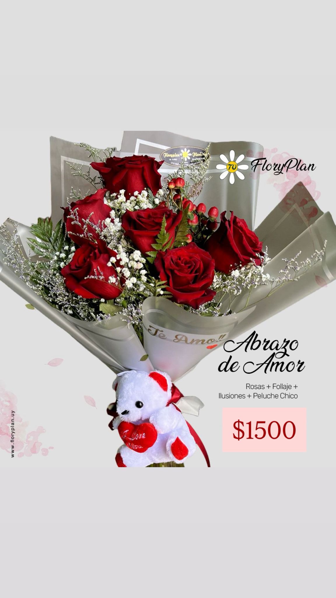 SEIS ROSAS + PELUCHE